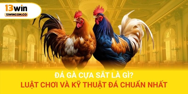 Đá gà cựa sắt là gì? Luật chơi và kỹ thuật đá chuẩn nhất