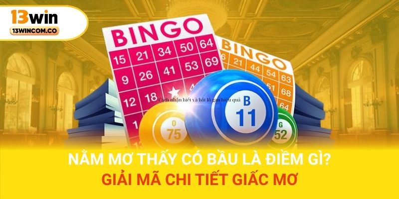 Nằm mơ thấy có bầu là điềm gì? Giải mã chi tiết giấc mơ